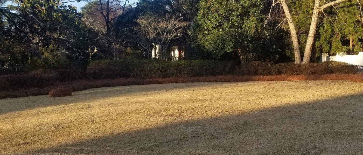 Fall Yard Clean Up Wilmington NC