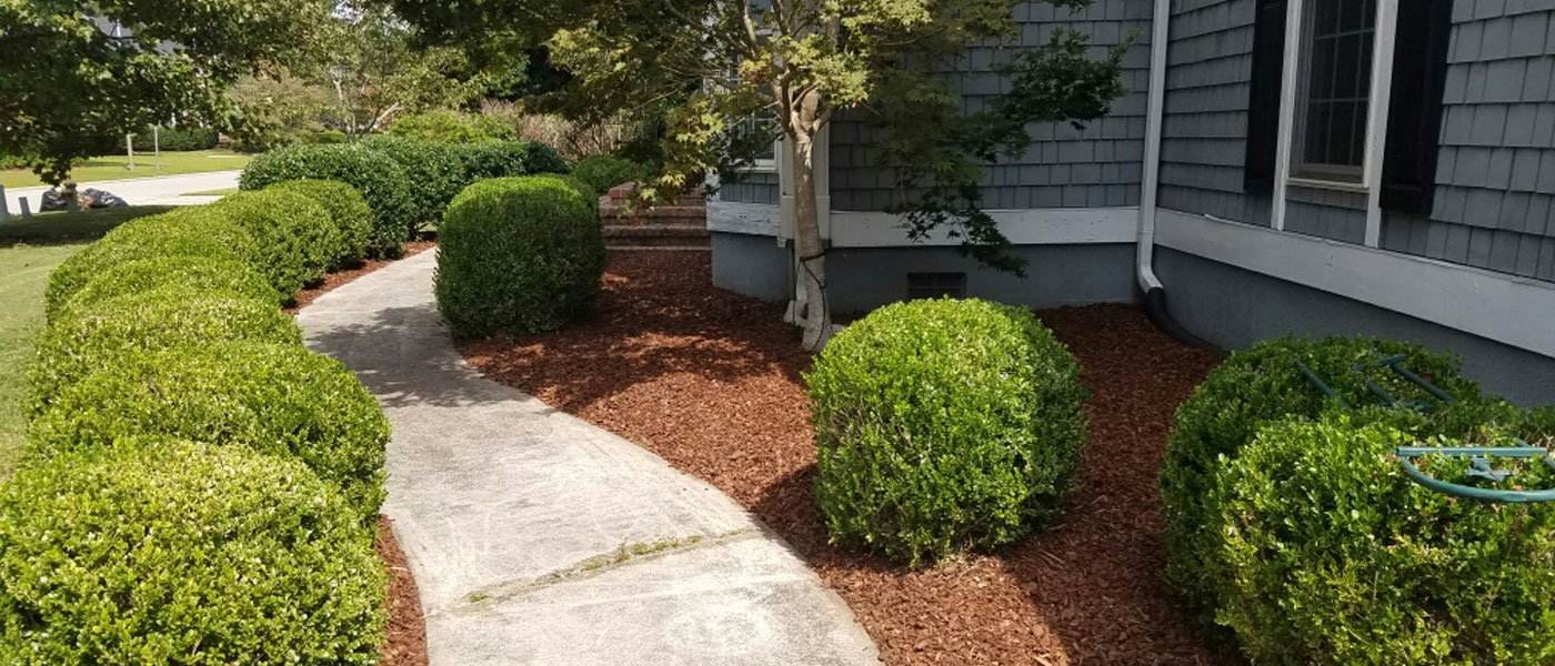 Mulch Installation Wilmington nc