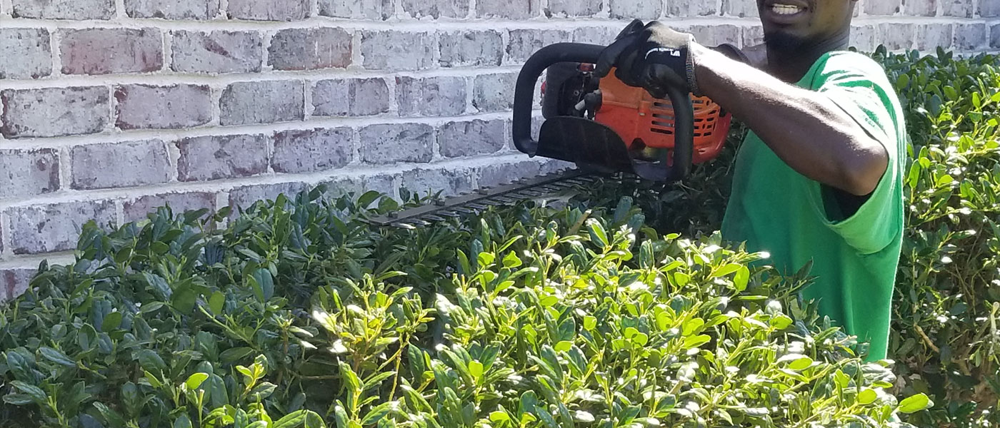 Shrub and Tree Pruning Wilmington NC