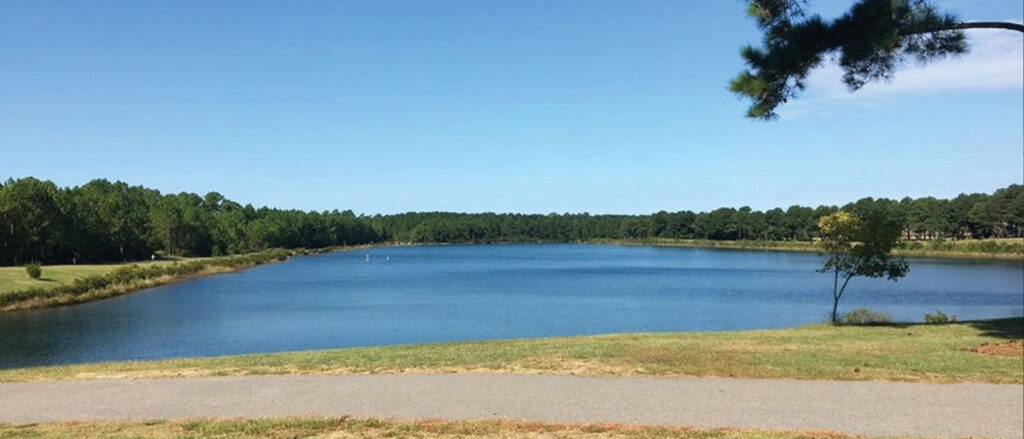 Lawn & Landscaping Services in Murrayville