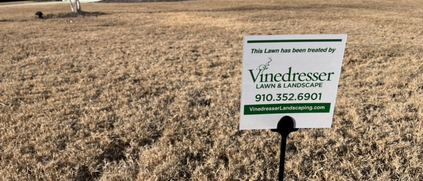 Weed Control in Wilmingotn NC