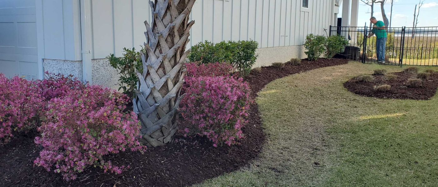 Lawn & Landscape Services 3