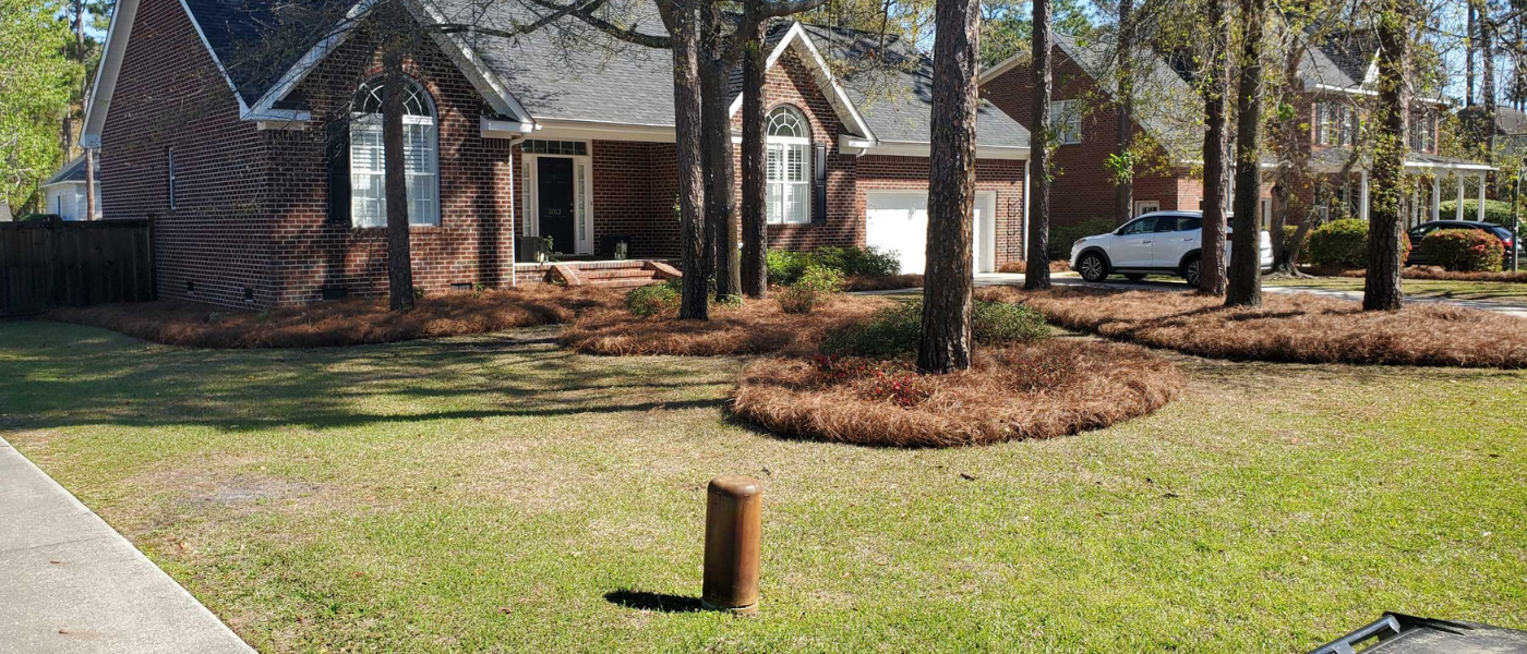 flower bed maintenance 2