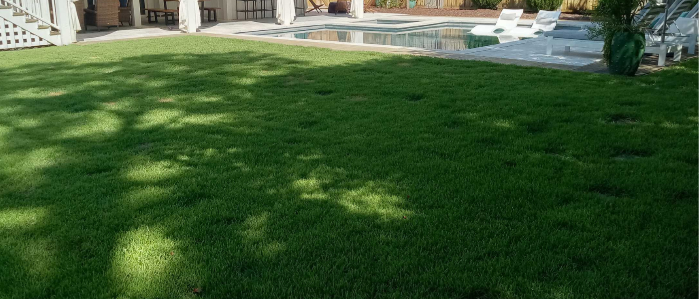lawn care 2 in Wilmington NC