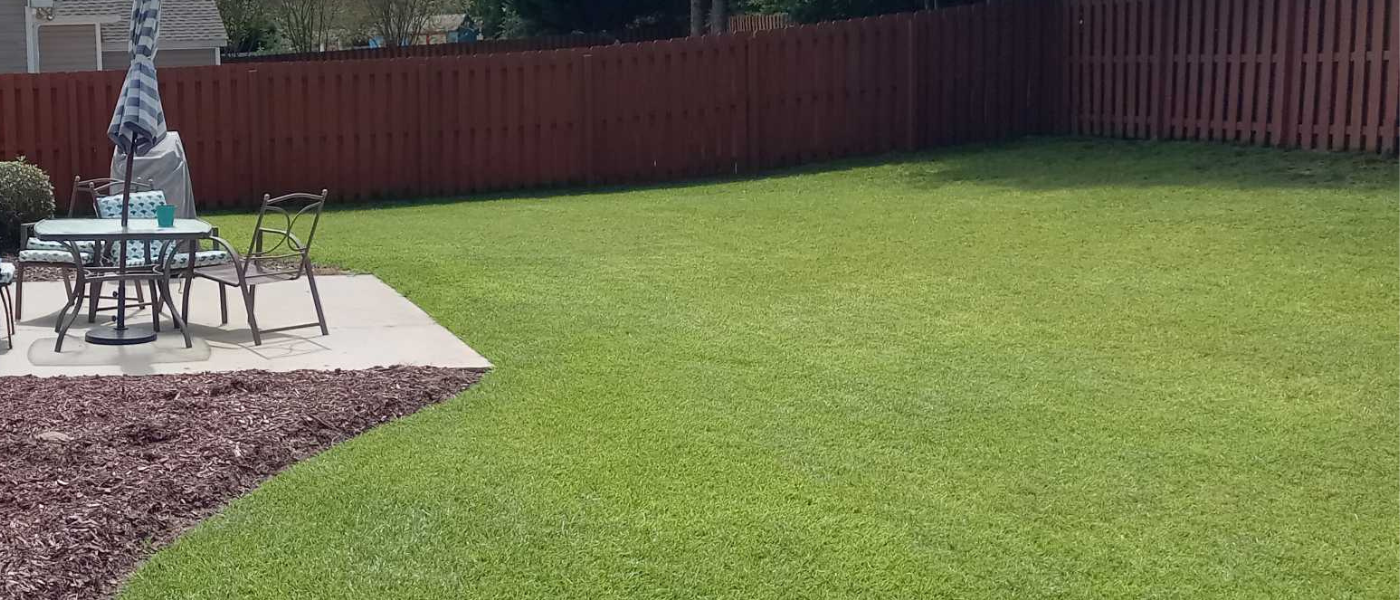 lawn treatment