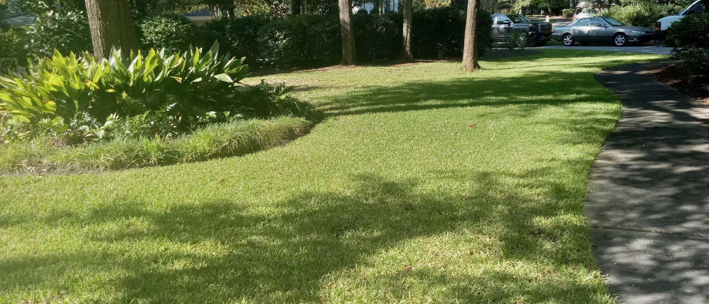 lawn treatment