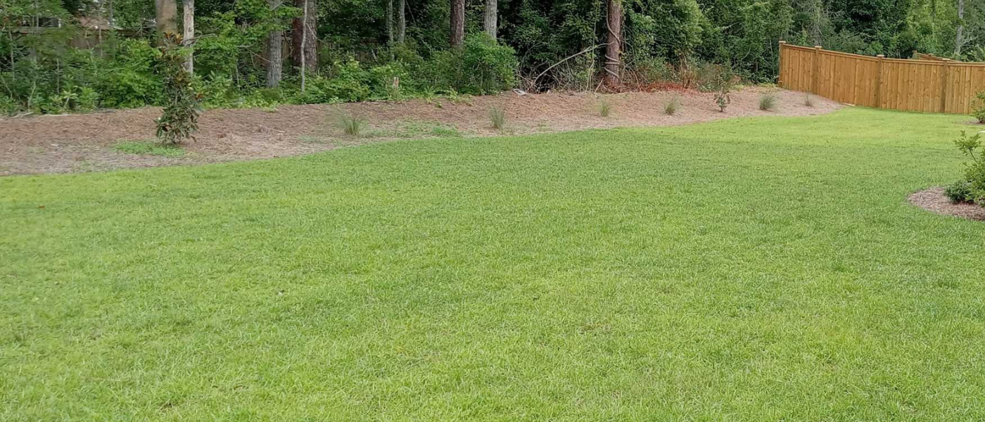 Centipede Grass in Wilmington NC