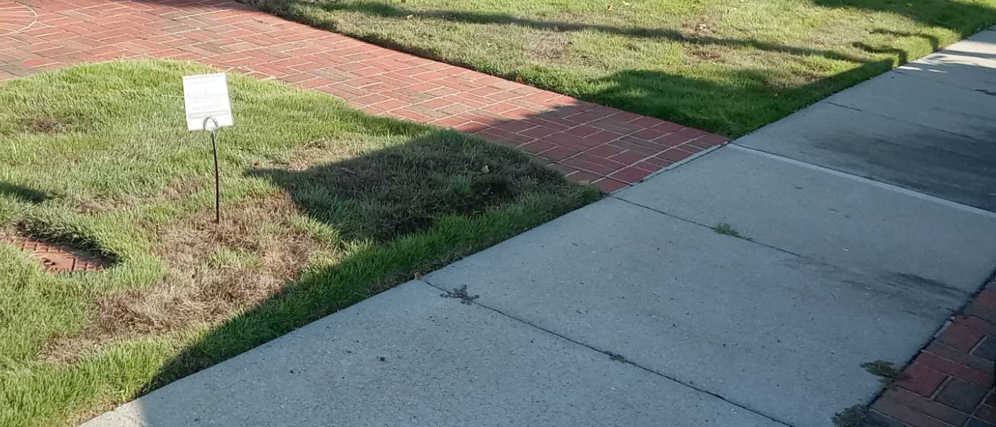 Fungicides for Warm Season Grasses