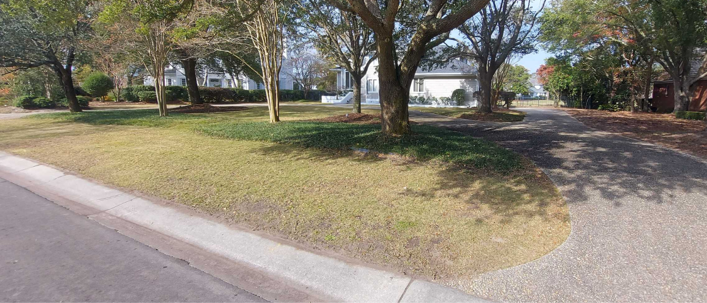 Leaf Clean Up Wilmington NC