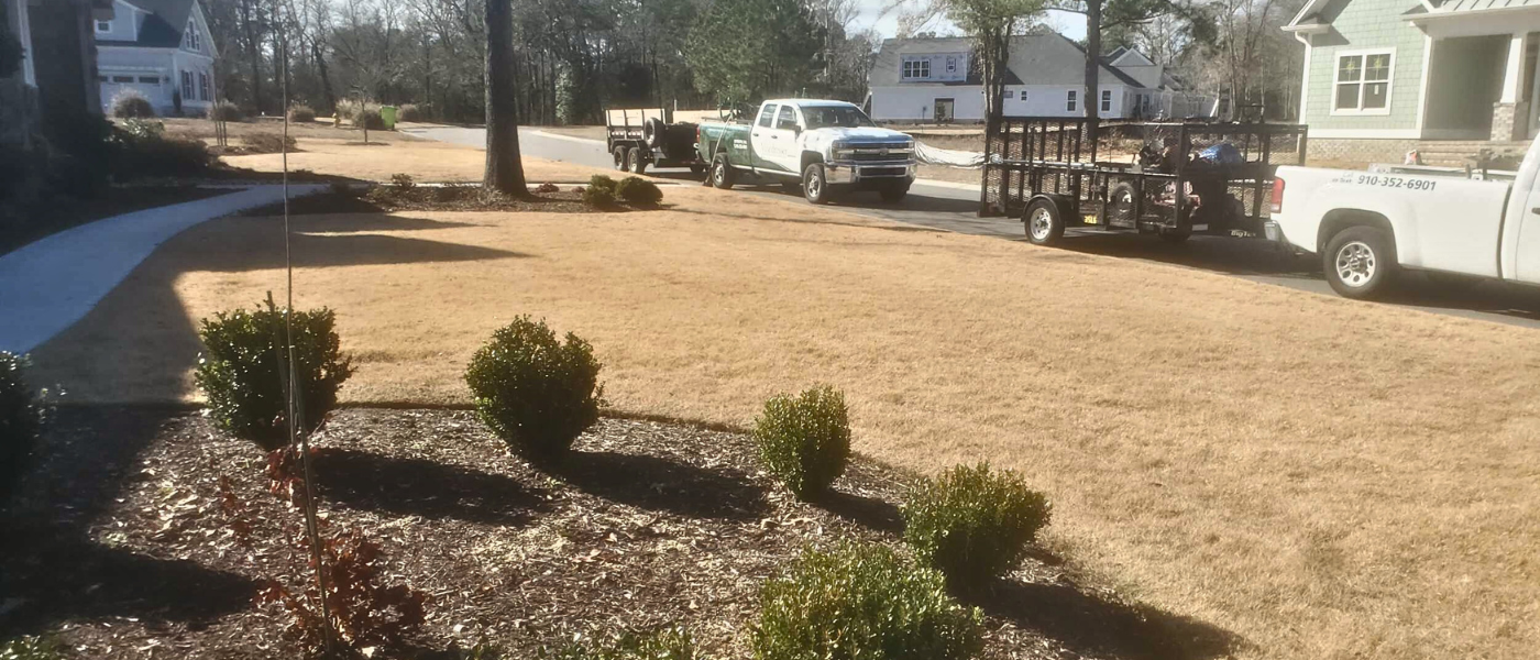 Leaf Removal Wilmington NC