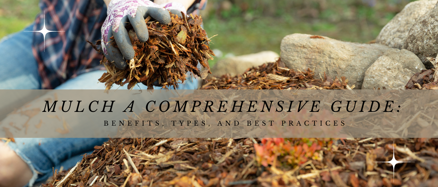 Mulch a Comprehensive Guide