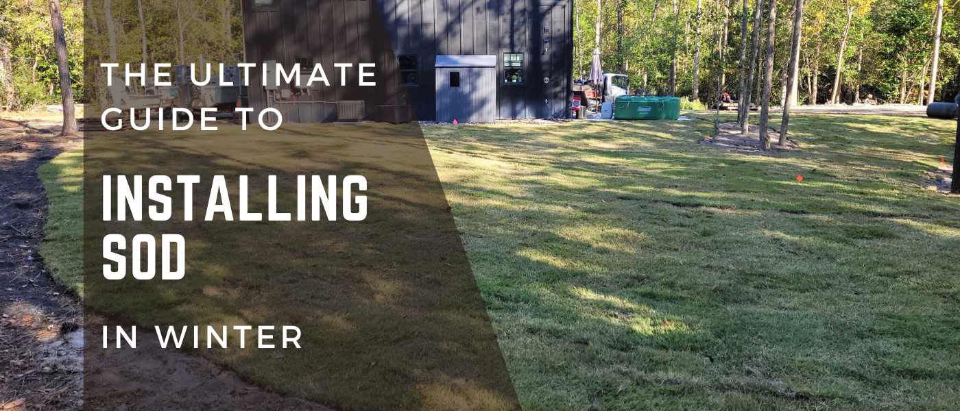 Installing Sod In Winter1