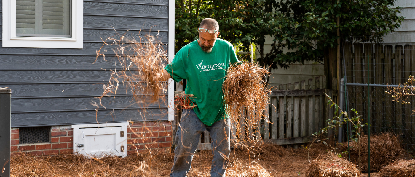 Pine Straw Install Wilmington NC
