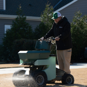 Lawn Care in Wilmington, Leland & Hampstead NC