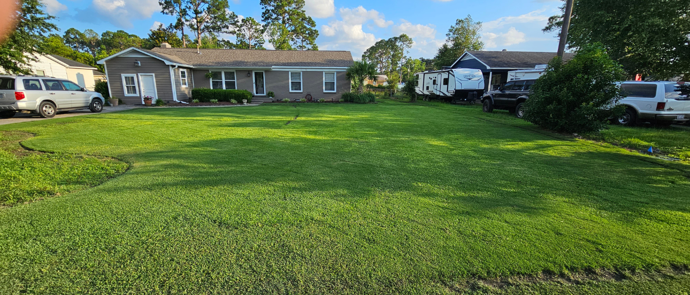 Spring Green Up