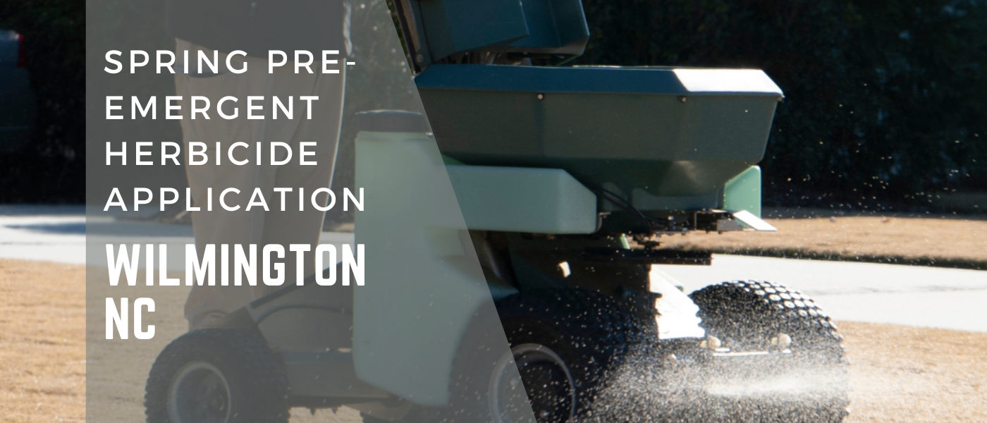 Spring Pre-Emergent Herbicide Application