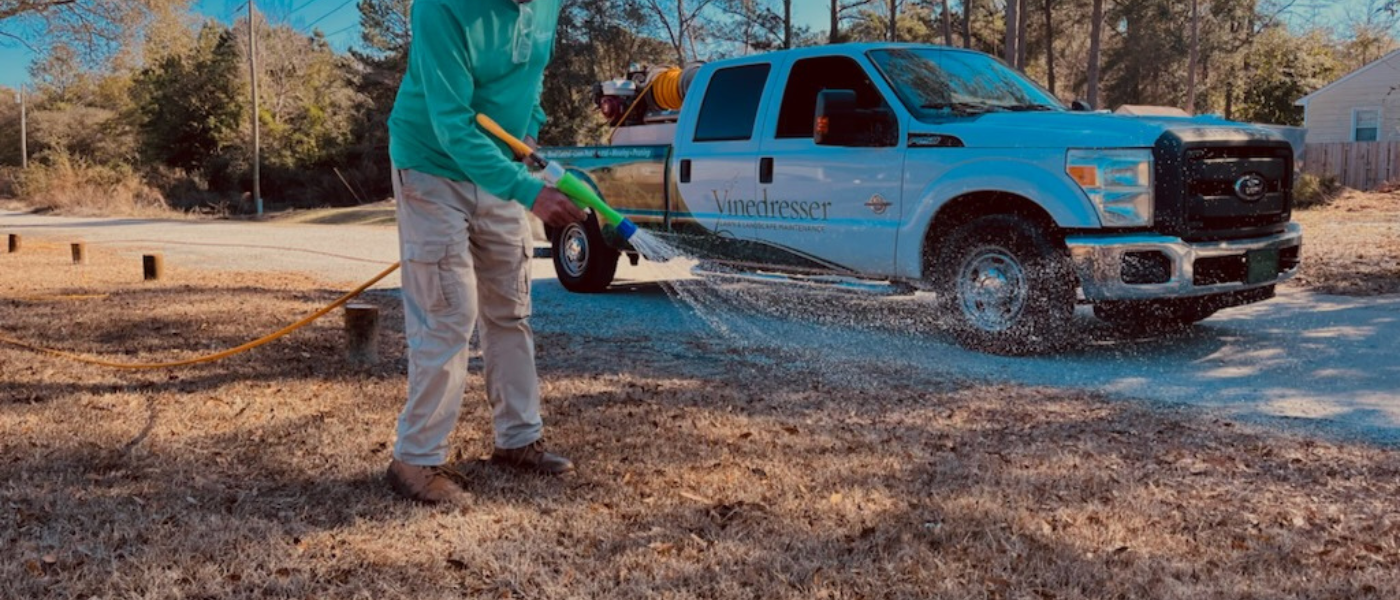spring pre-emergent in Wilmington NC