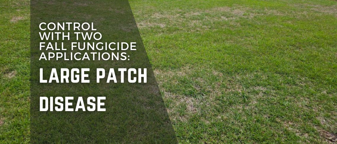 Large Patch Disease: Control with Two Fall Fungicide Applications
