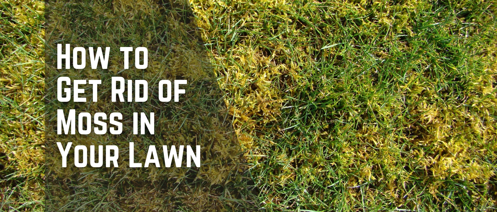 Installing a Drainage System in Your Yard: A Complete Guide