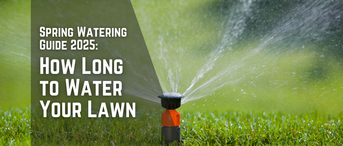 How Long to Water Your Lawn: Spring Watering Guide 2025